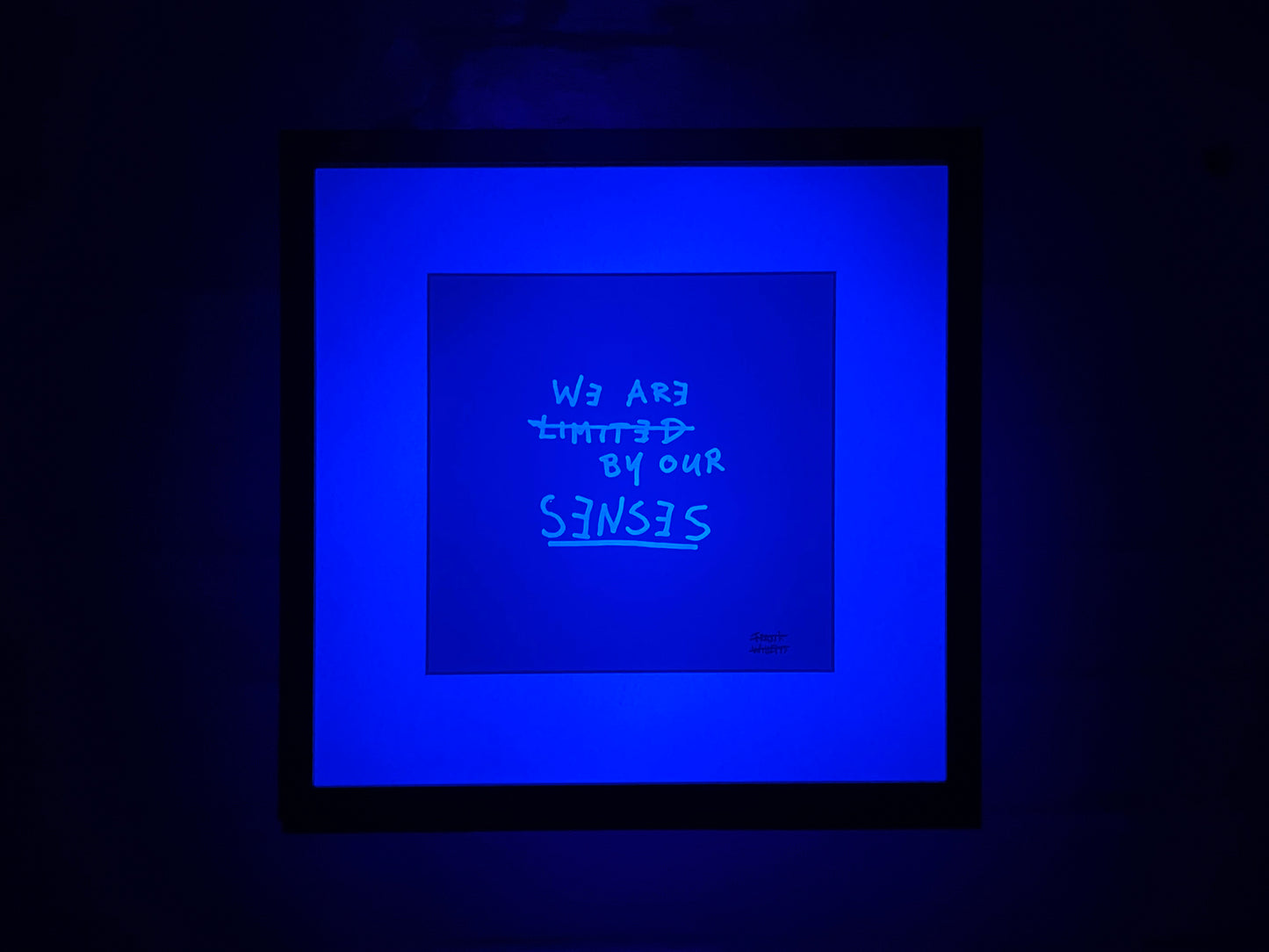 Limited Edition Text – WE ARE LIMITED BY OUR SENSES – LUMINOUS DEPTHS. by Frank Willems.