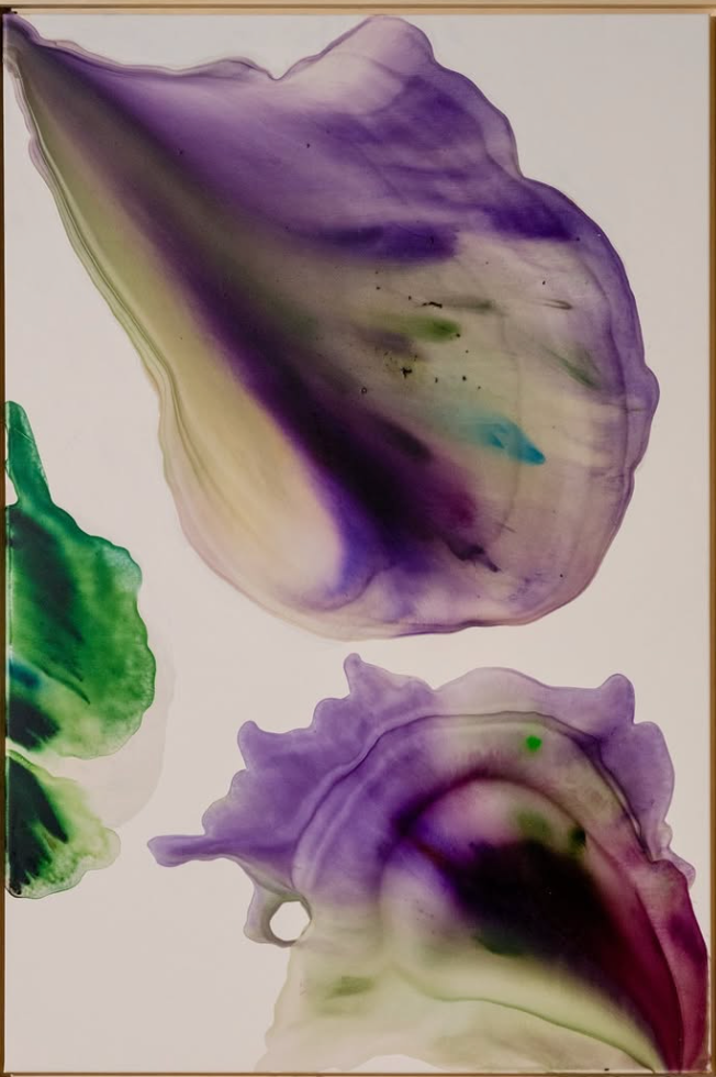 Aimes Jowil - Purple Inside
